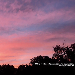 男人边吻奶边挵进去无遮挡
